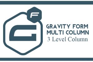 Gravity Forms Multilevel Columns – CSS Classes