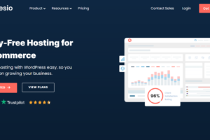 Best WordPress Hosting: Why Convesio Takes the Lead